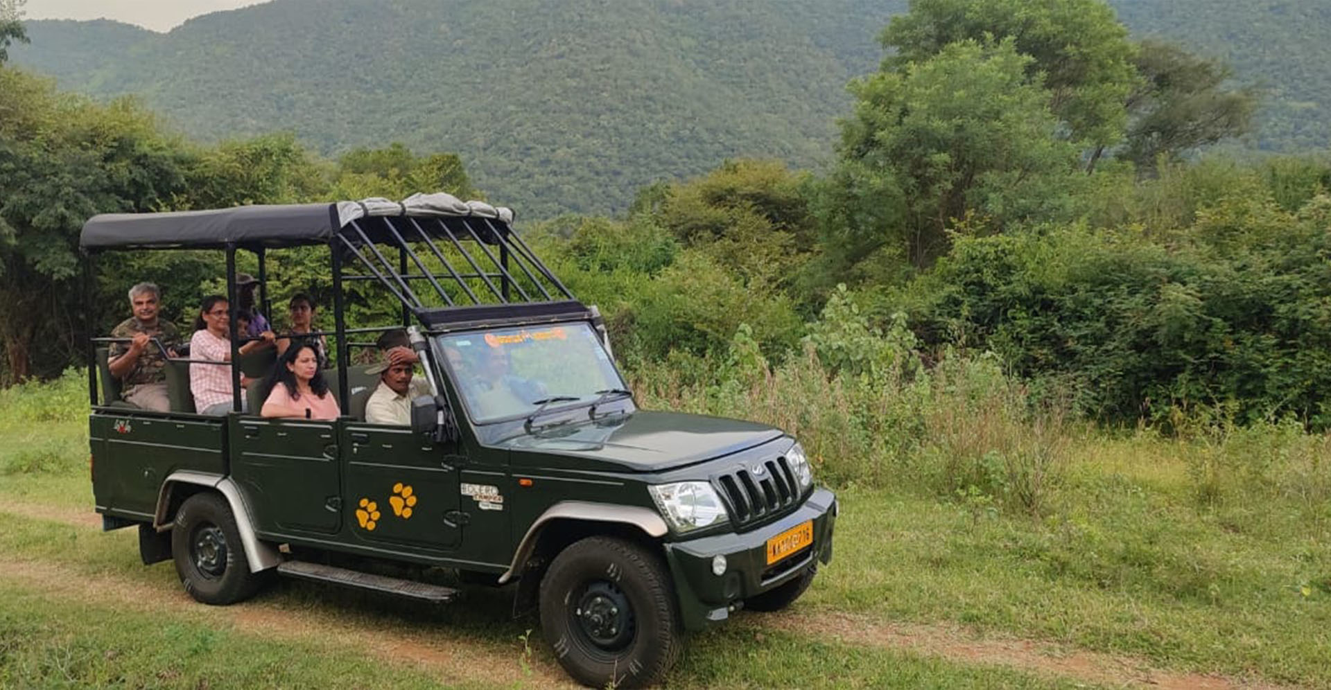 Jungle Safari
